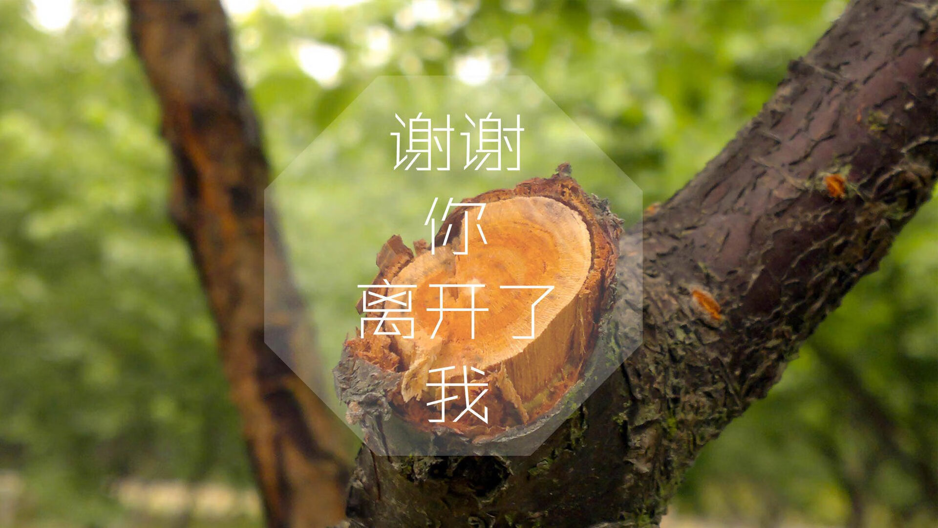 2023年，斯托亚科维奇在比赛中的突破上篮，成“全场焦点”！，斯托伊科维奇停球
