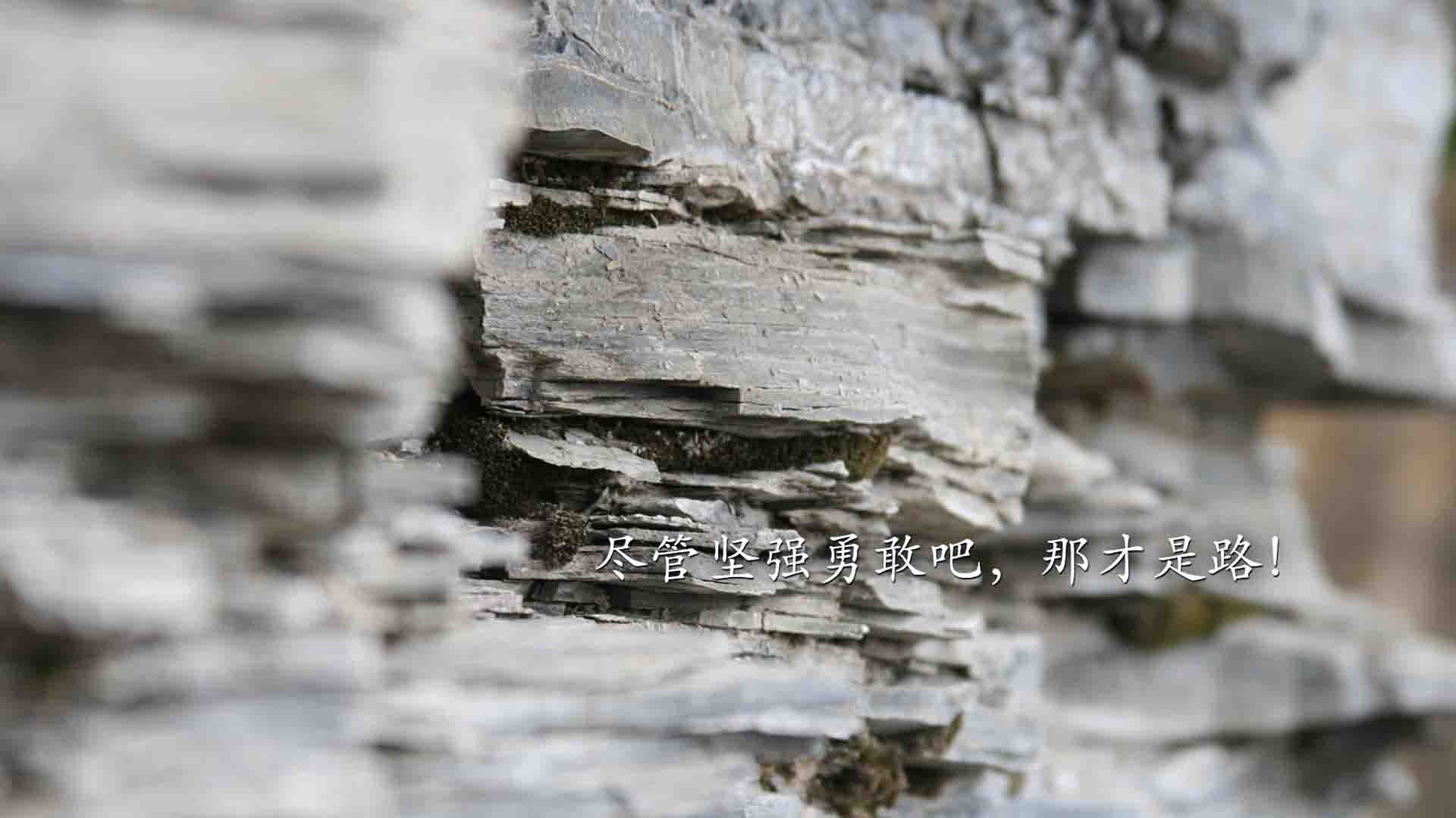 _快船队迎战强敌，场场激烈角逐_，快船队赛程表