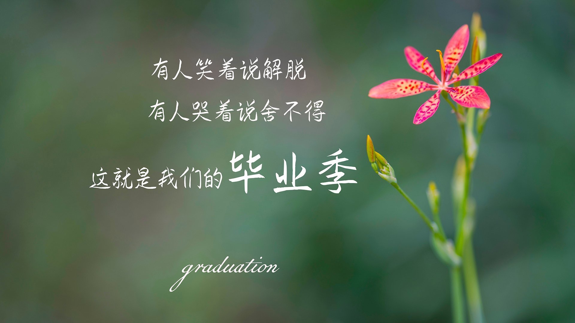 “青训学院建设提速，为国家队储备未来主力”，青训营百度百科