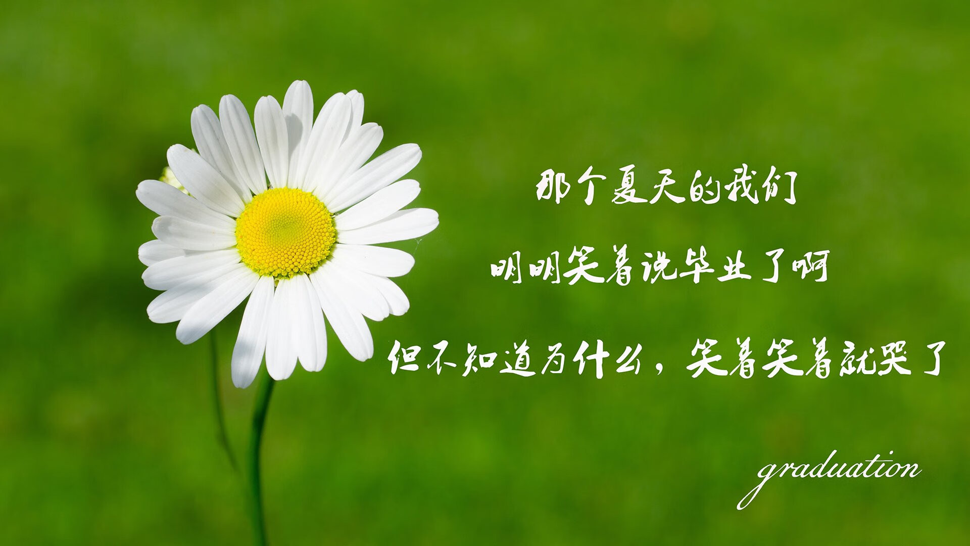 世俱杯对阵表-【虚拟裁判试点】技术革命能否彻底改变裁判判决？