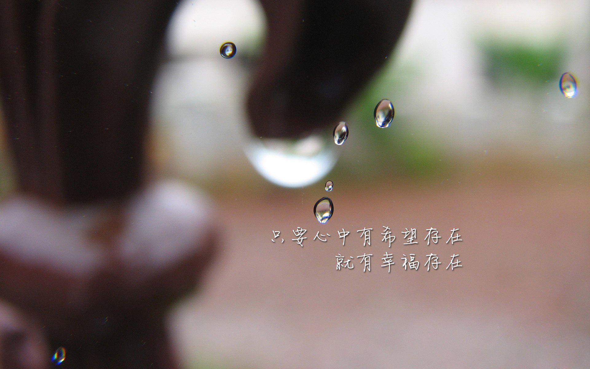 世俱杯决赛-冠军的心跳：一场赛前赛后深入车手心境的精彩报道，冠军的心完整版