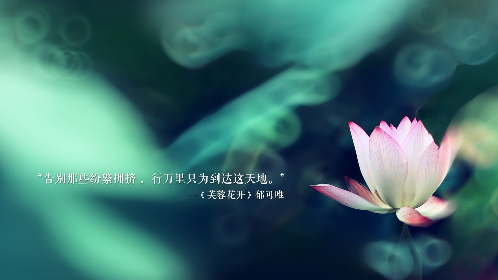 逆境中的“铁血战士”：最坚韧的球队精神，铁血战士最强的铁血