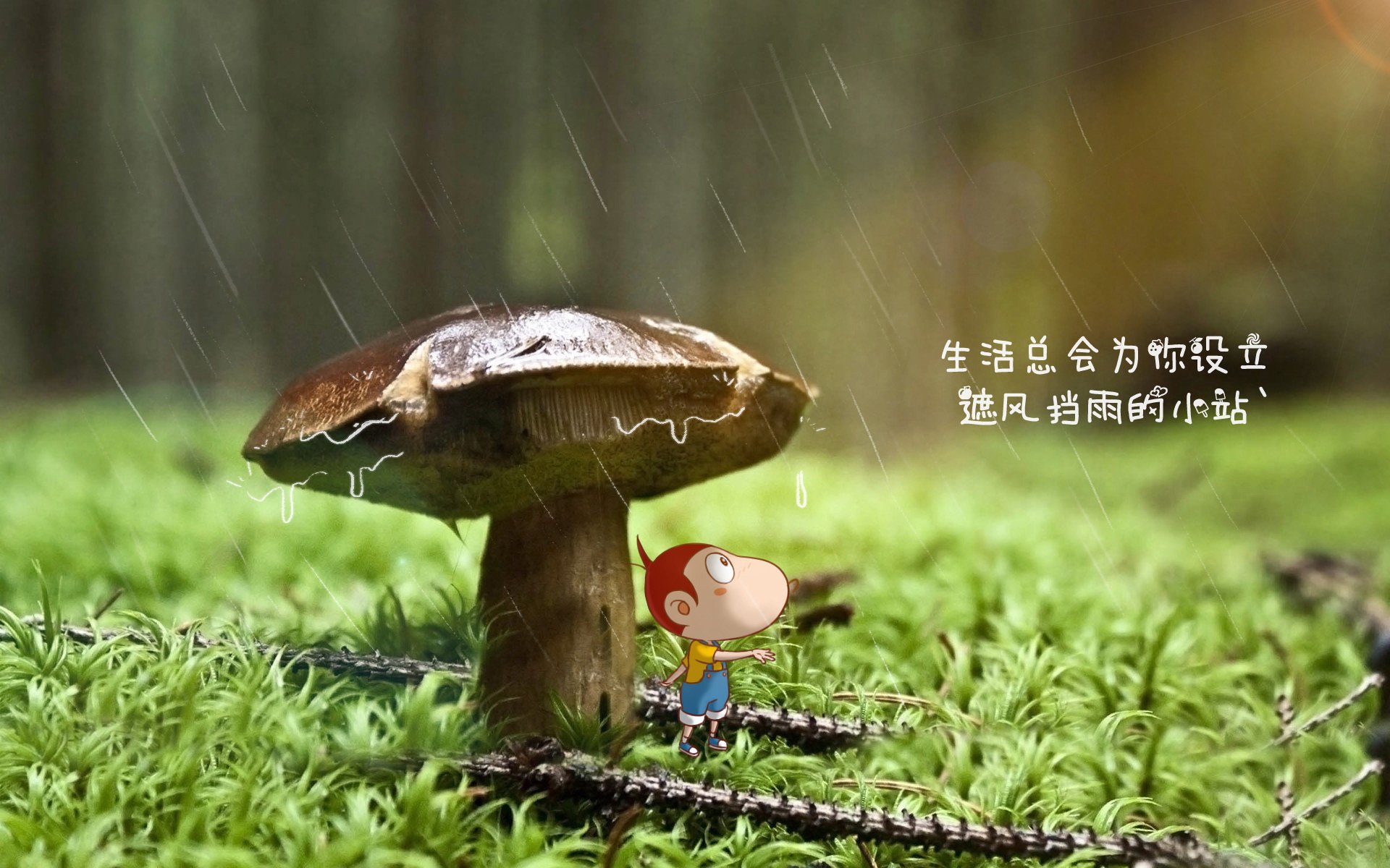 女排超级联赛八强确定，天津队保持全胜战绩，排超联赛天津女排视频