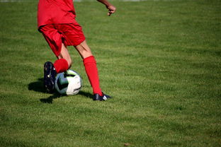 世俱杯足球-篮球运动员心理素质测评体系构建，篮球运动员心理素质的重要性