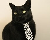 “武汉马拉松:新纪录能否诞生?”