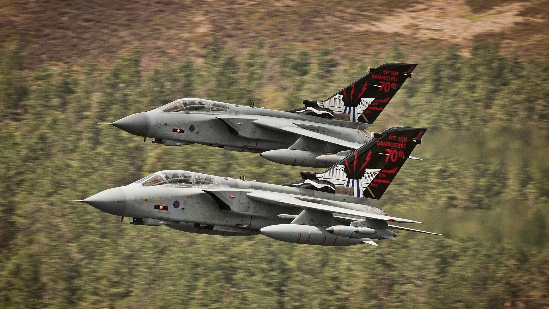 “汤姆·佩顿短泳技术大幅提升,挑战泳坛顶尖”