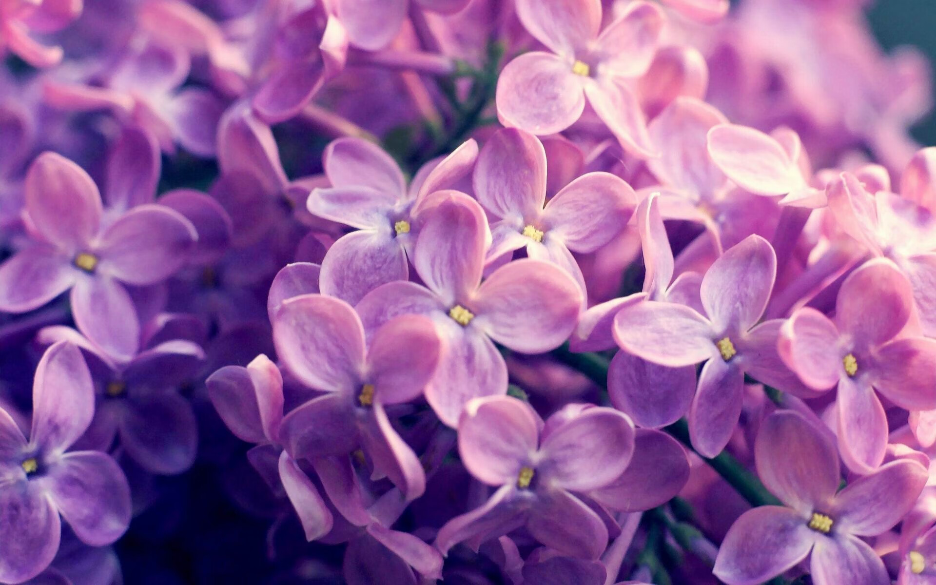 “简阳文体中心:篮球选手在赛场上挑战极限突破”